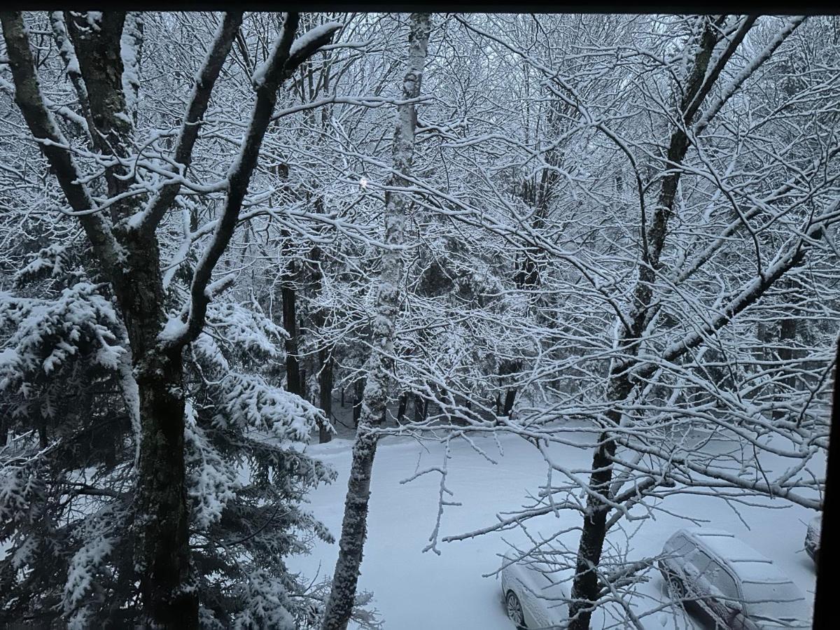 Vermont Getaway! Newly Renovated! Stratton Valley エクステリア 写真